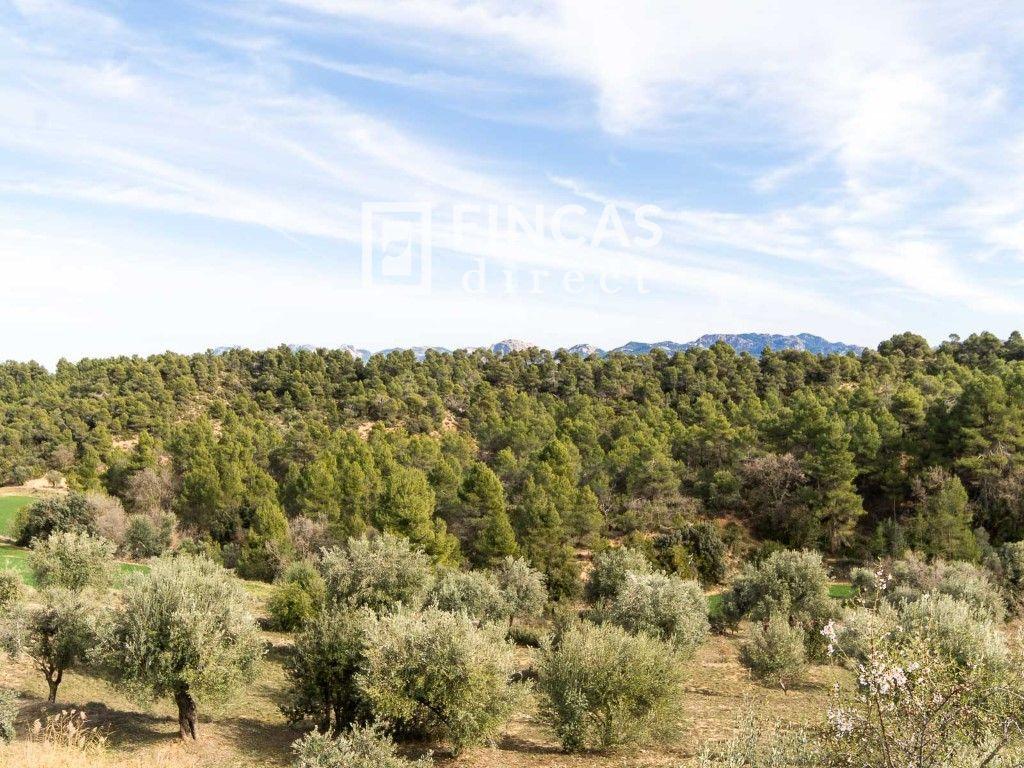 House for Sale in Cretas