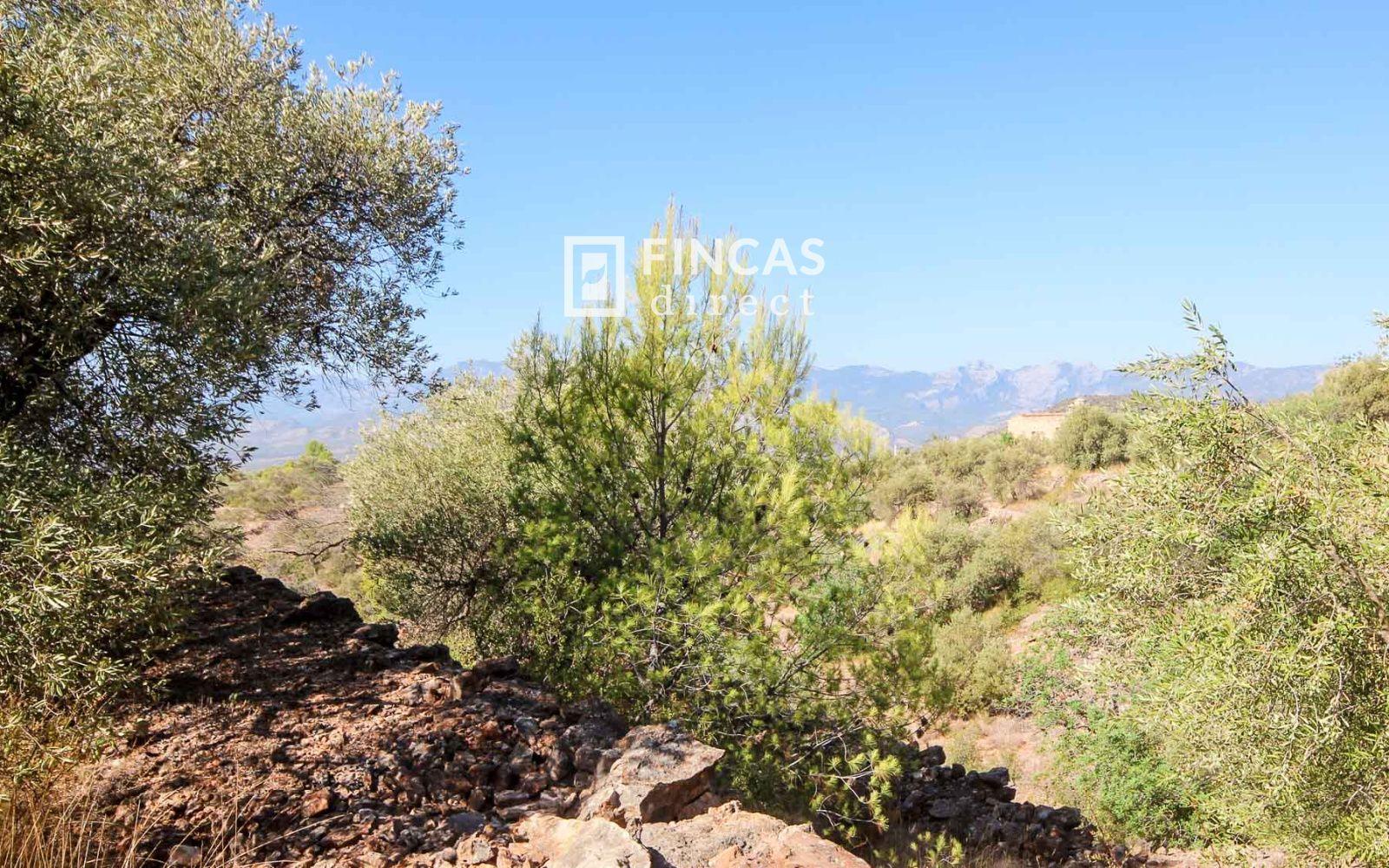 Finca en Venta en Tivenys