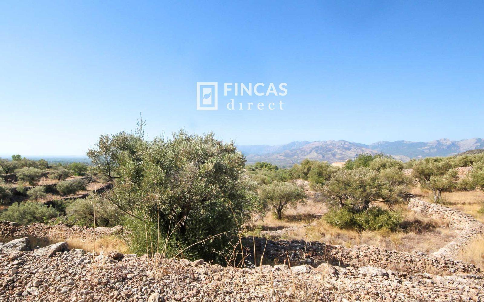 Finca en Venta en Tivenys