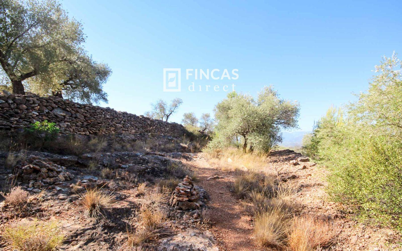 Finca en Venta en Tivenys