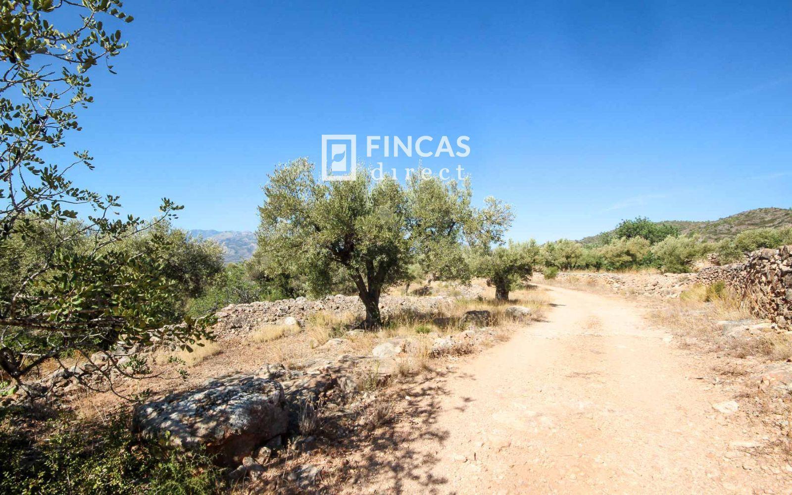 Finca en Venta en Tivenys