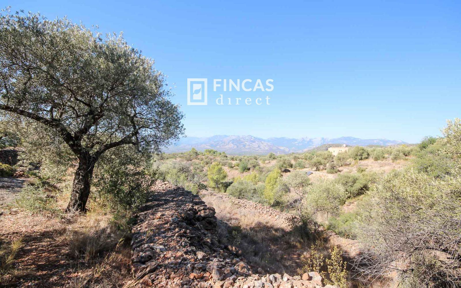 Finca en Venta en Tivenys