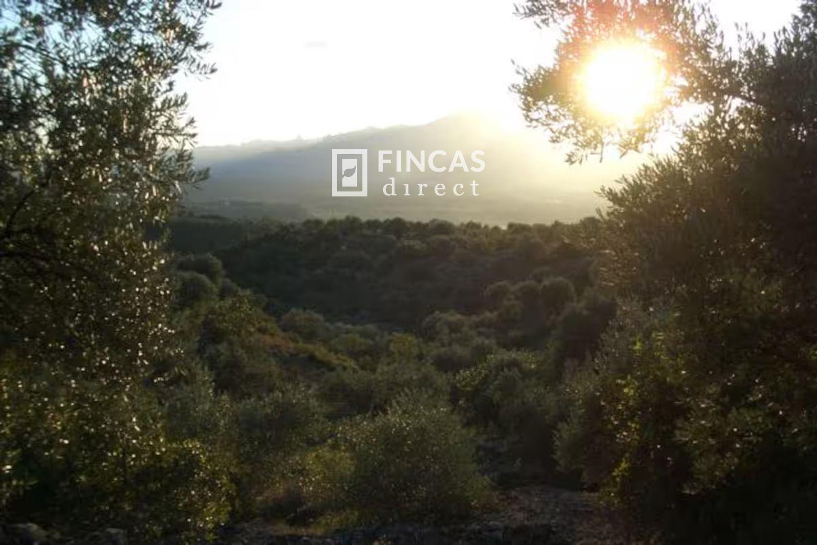 Finca en Venta en Tivenys