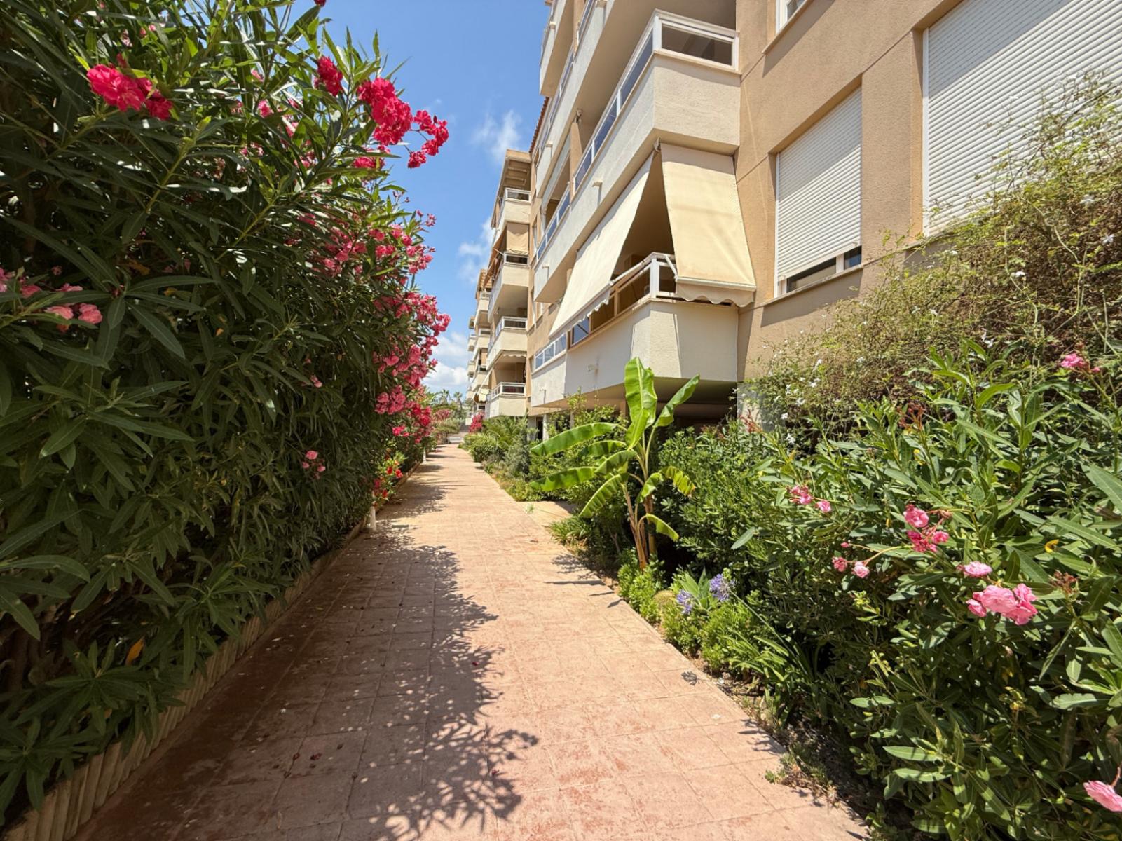 Apartment for Sale in Ibiza