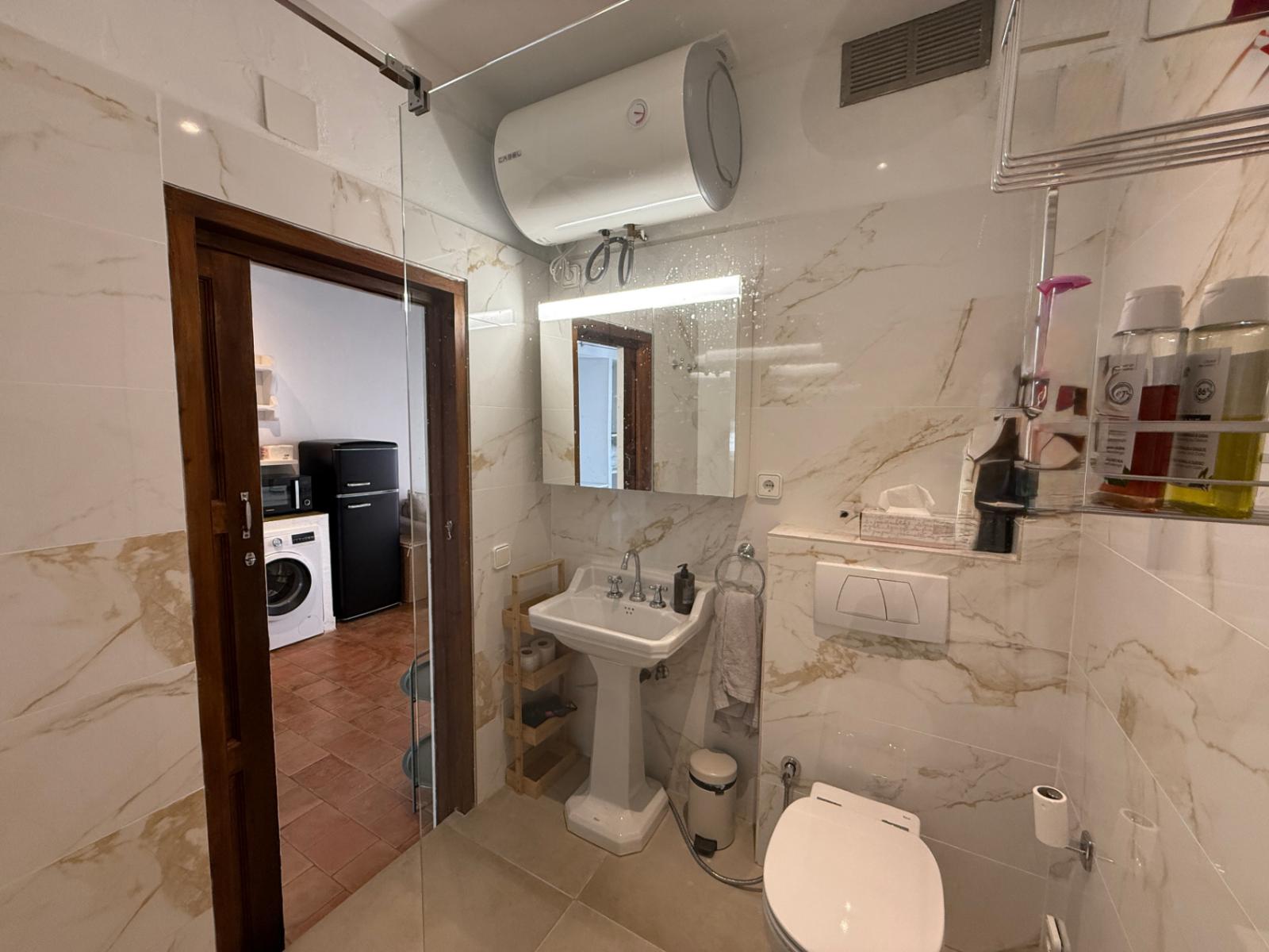 Apartment for Sale in Ibiza