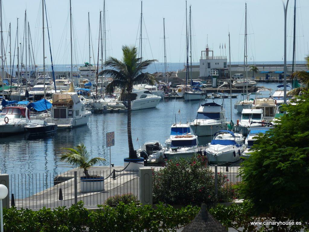 Premise for Rent in Mogán