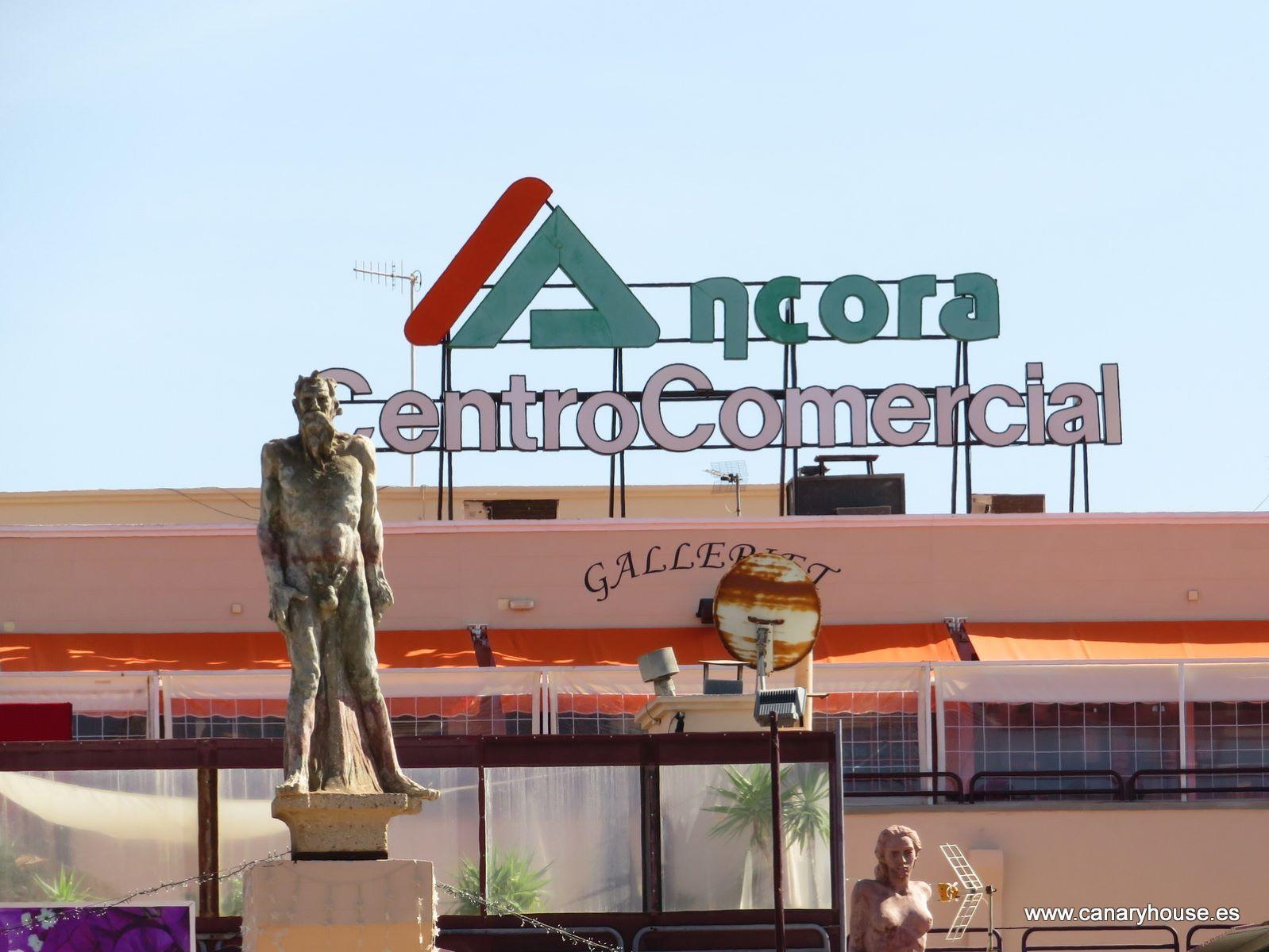 Premise for Sale in Mogán