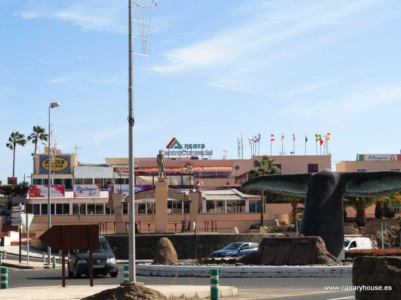Premise for Sale in Mogán
