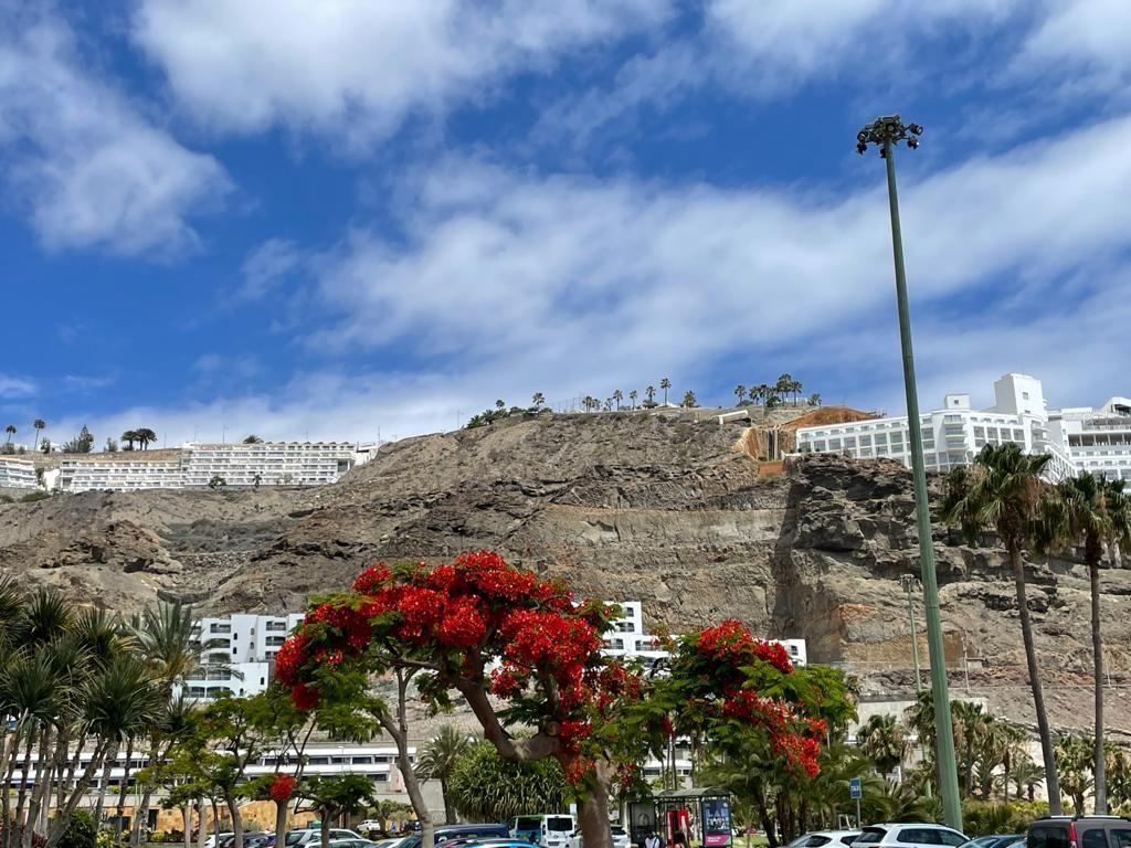 Building Site for Sale in Mogán