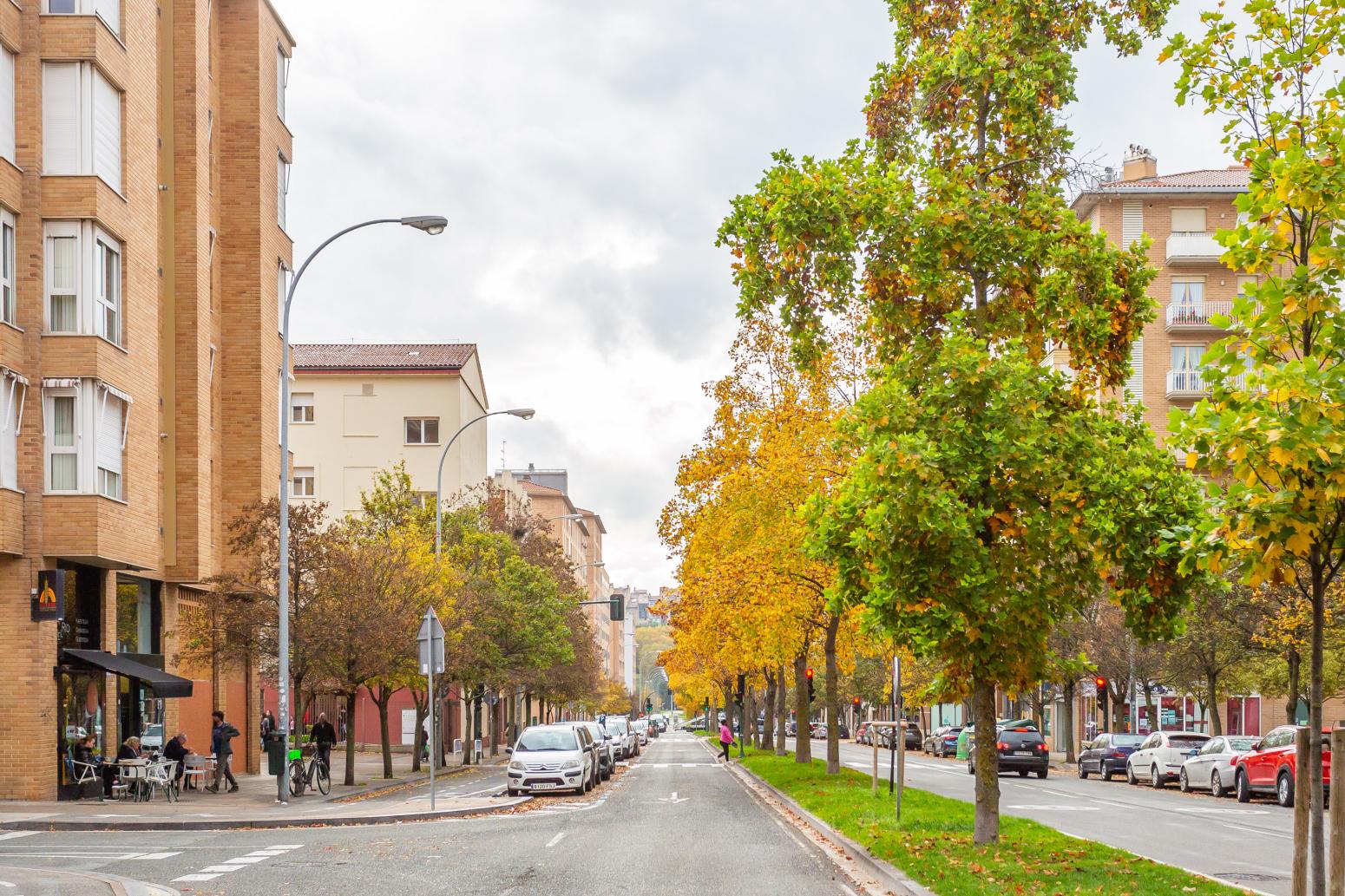 Premise for Rent in Pamplona