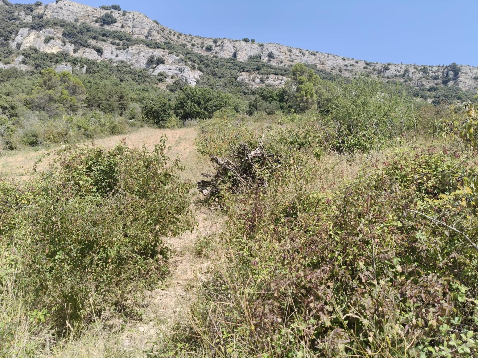 Finca en Venta en Etxauri