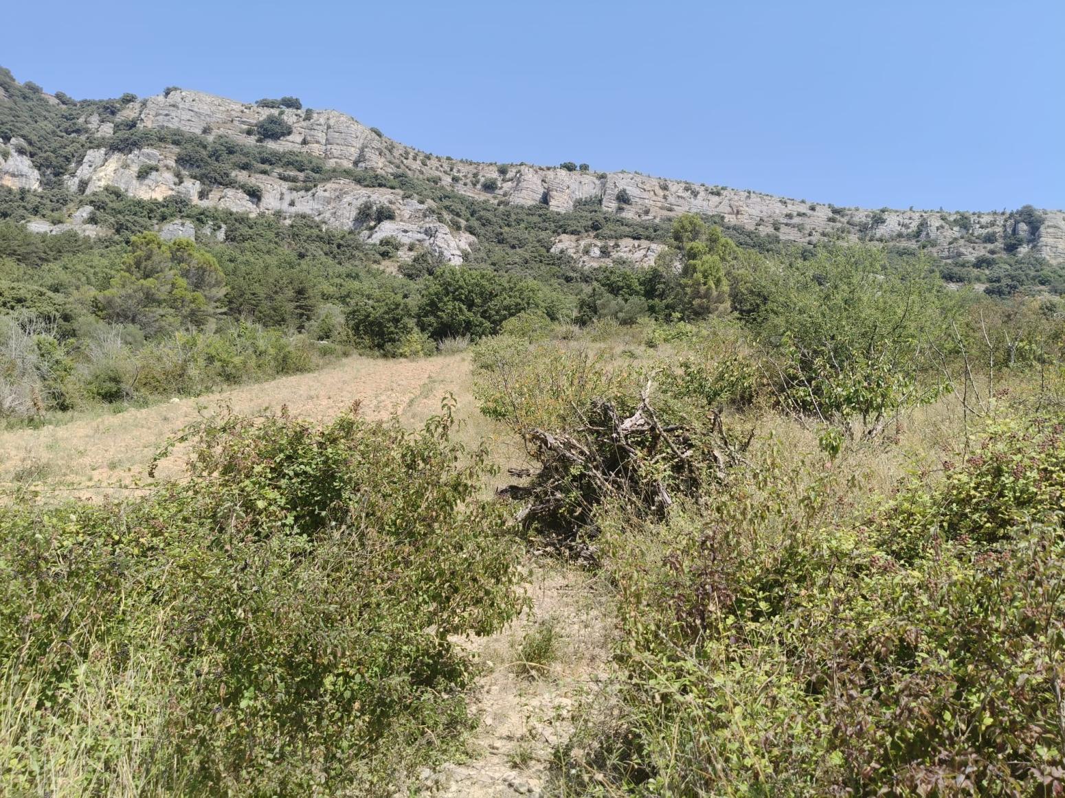 Finca en Venta en Etxauri