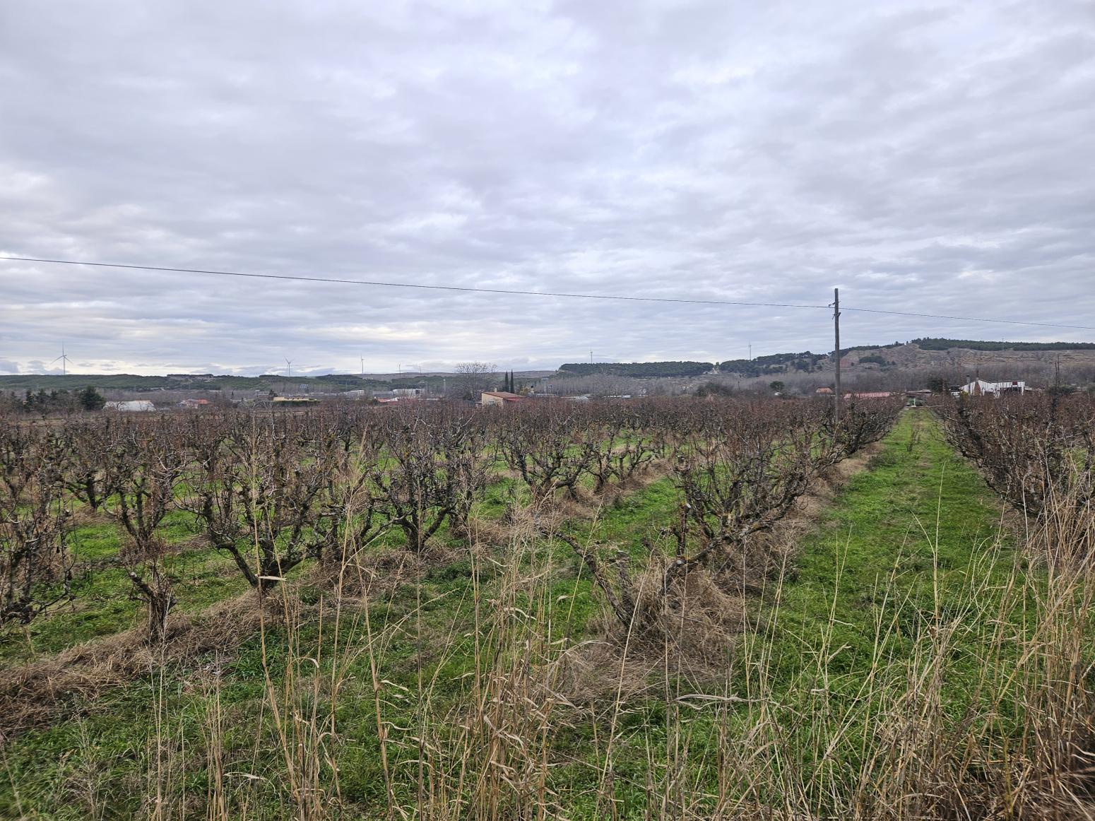 Finca en Venta en Lodosa