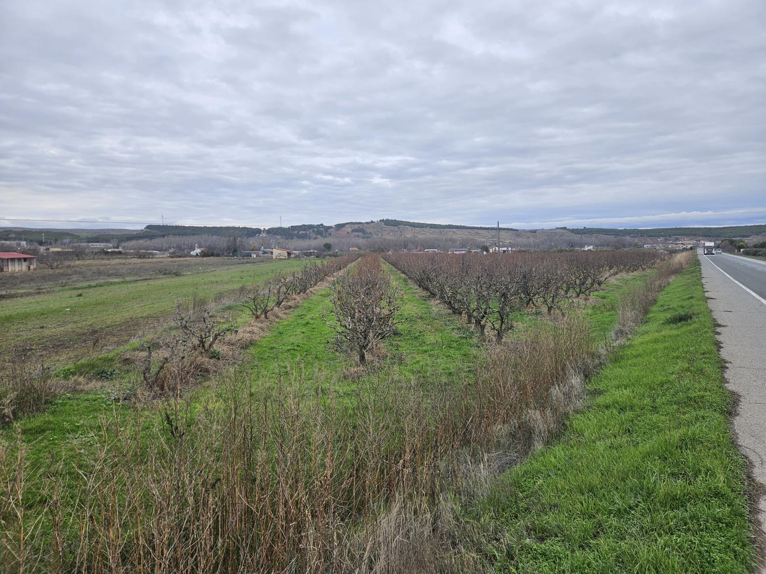 Finca en Venta en Lodosa