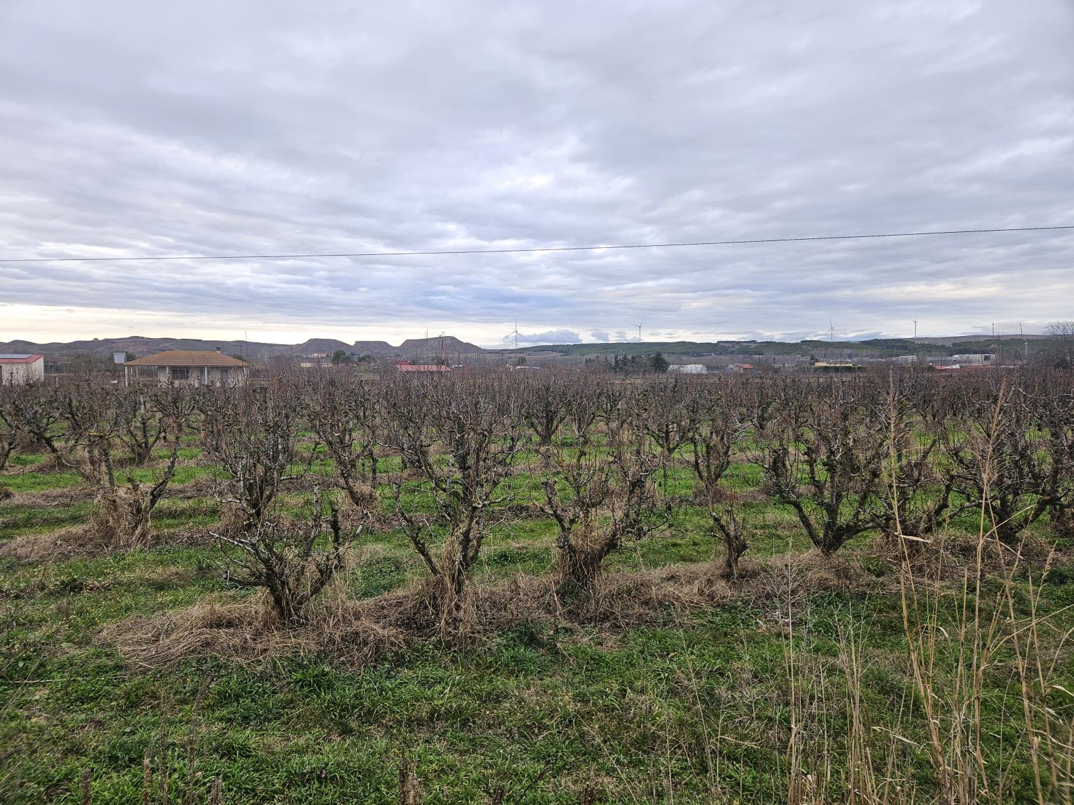 Finca en Venta en Lodosa