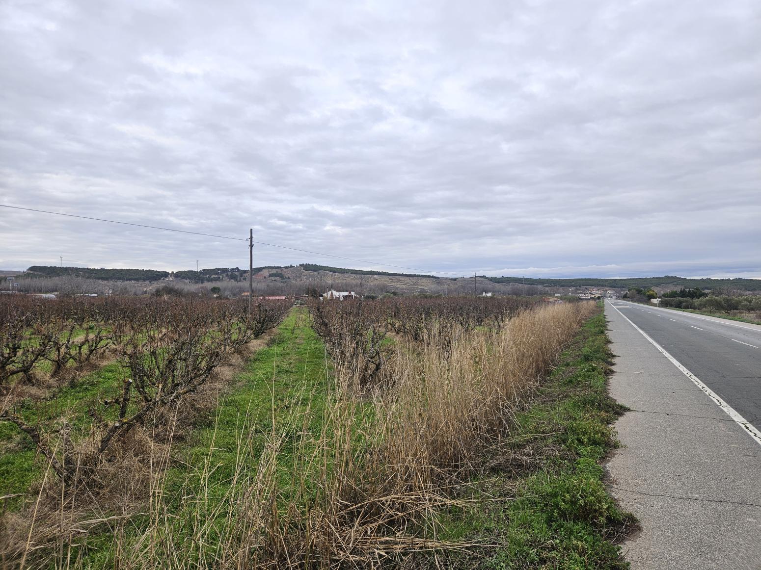 Finca en Venta en Lodosa