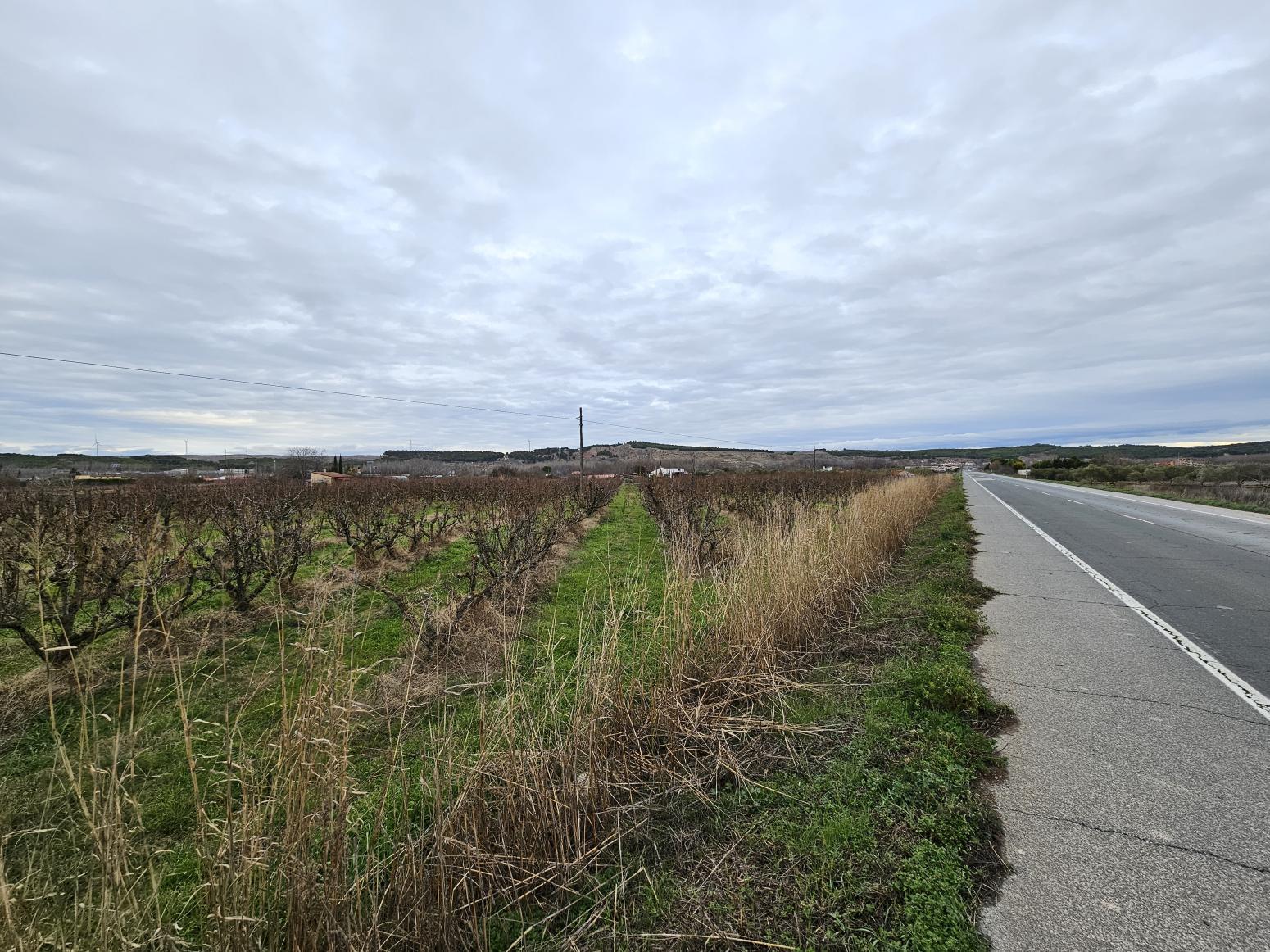 Finca en Venta en Lodosa