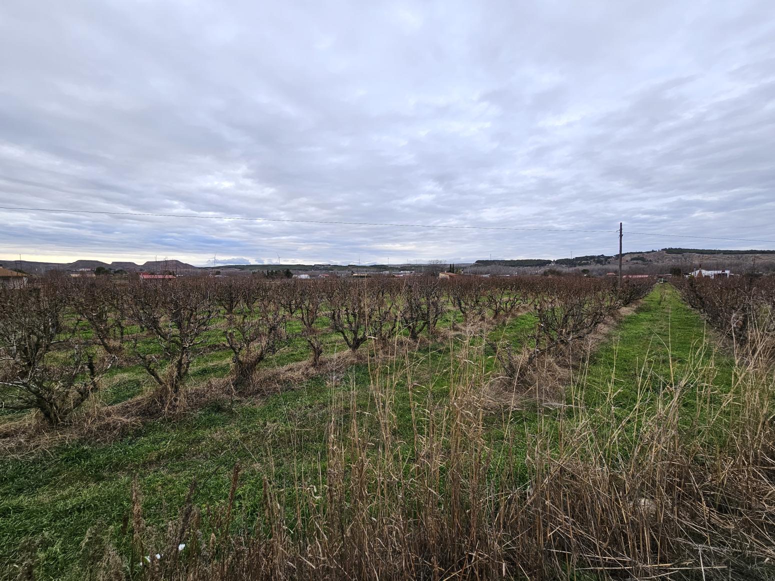 Finca en Venta en Lodosa