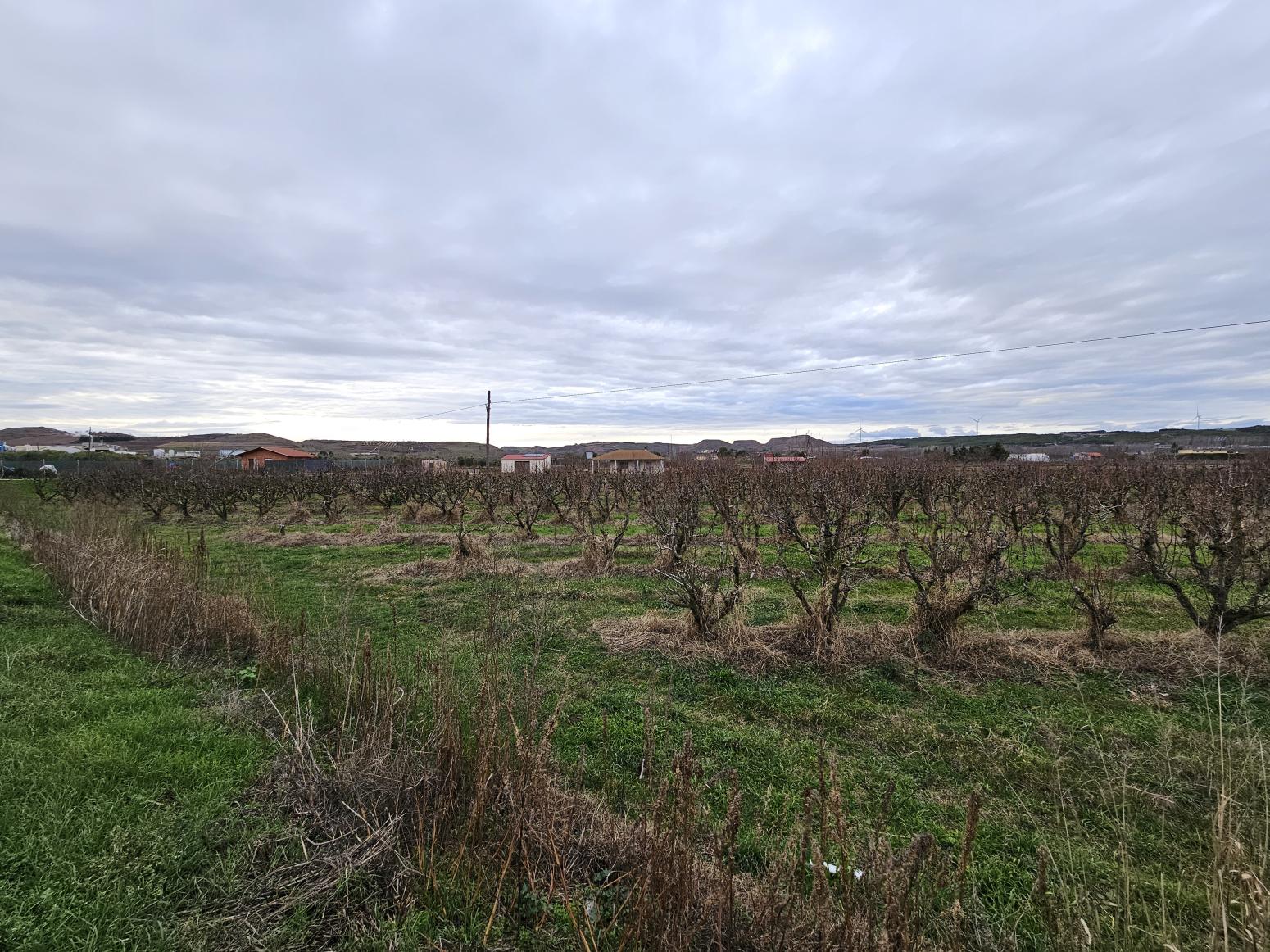 Finca en Venta en Lodosa