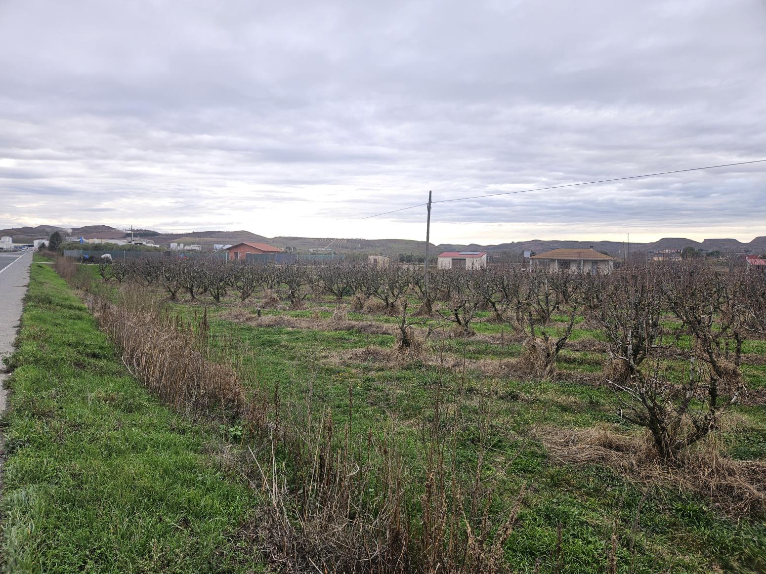 Finca en Venta en Lodosa