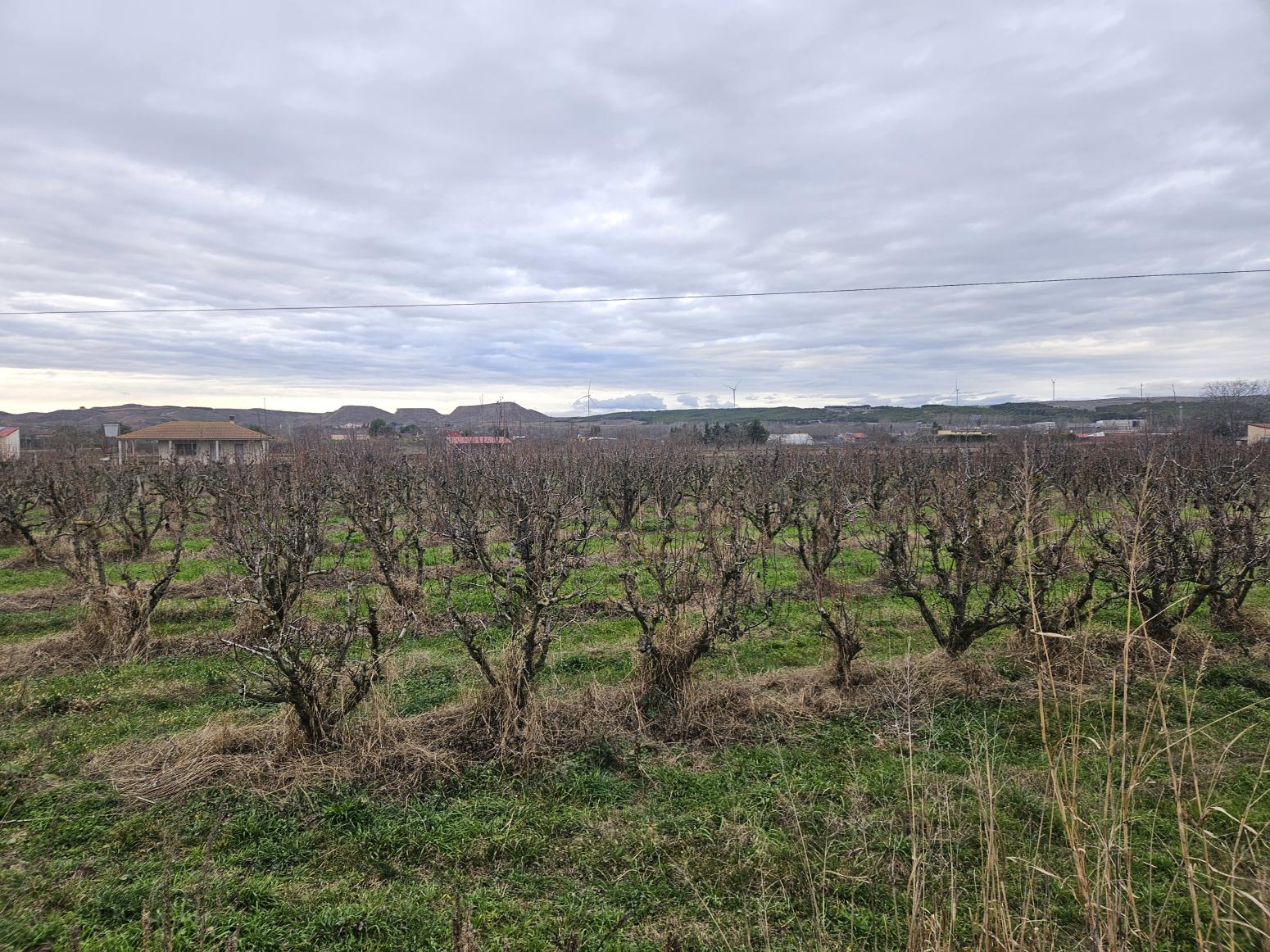 Finca en Venta en Lodosa