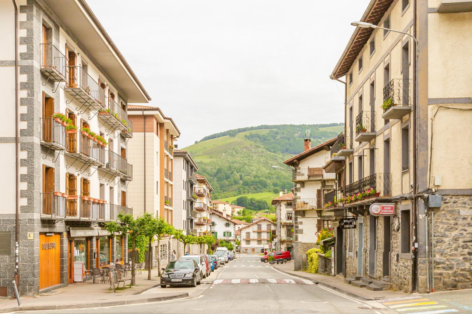 Premise for Sale in Leitza