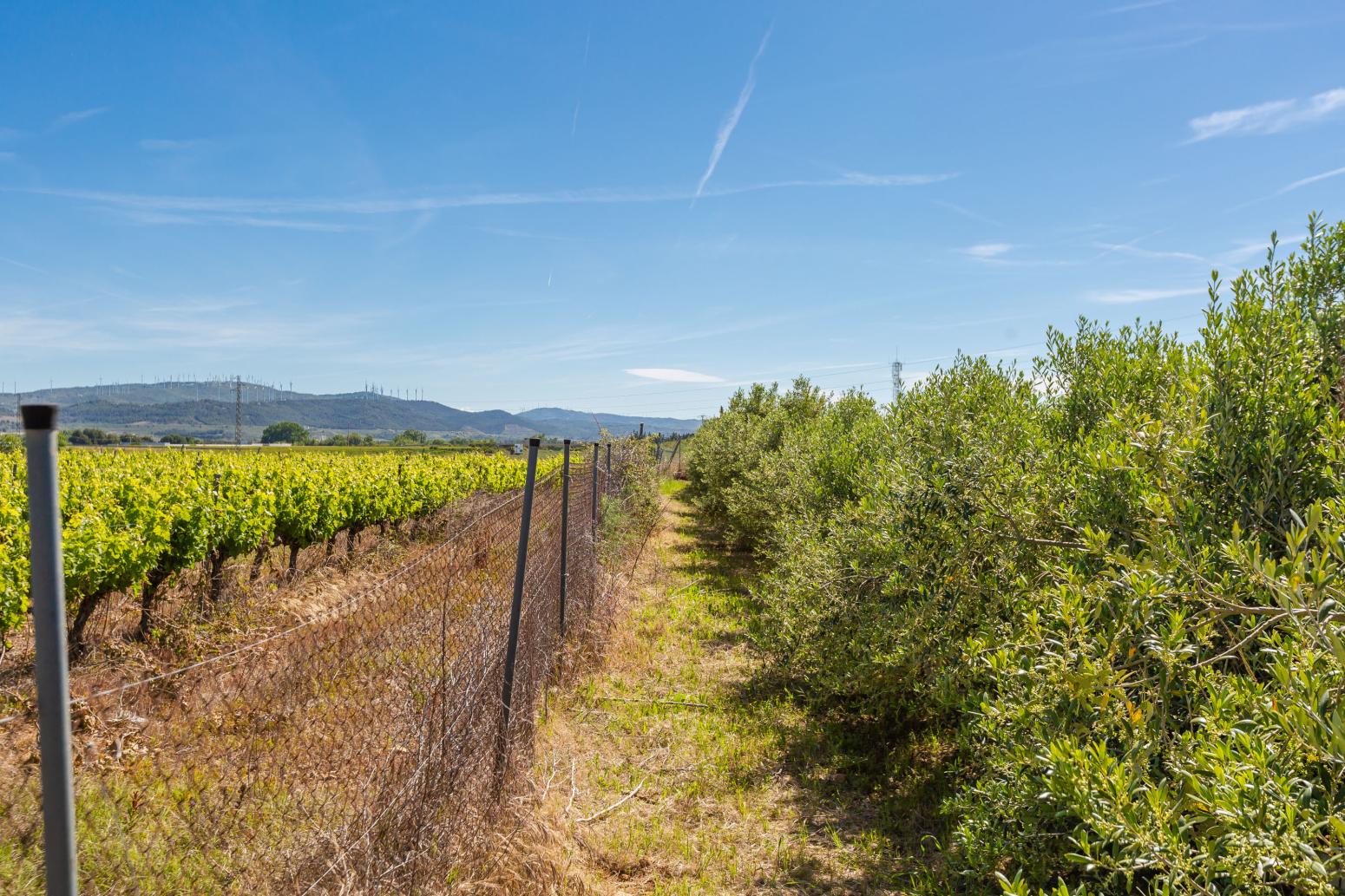 Finca en Venta en Tafalla