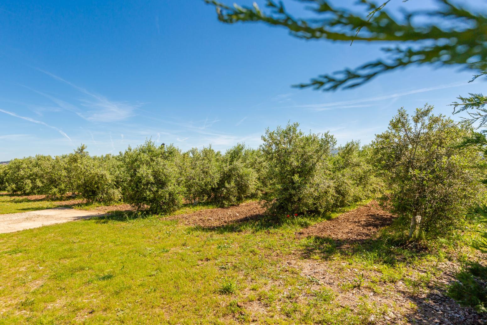 Finca en Venta en Tafalla