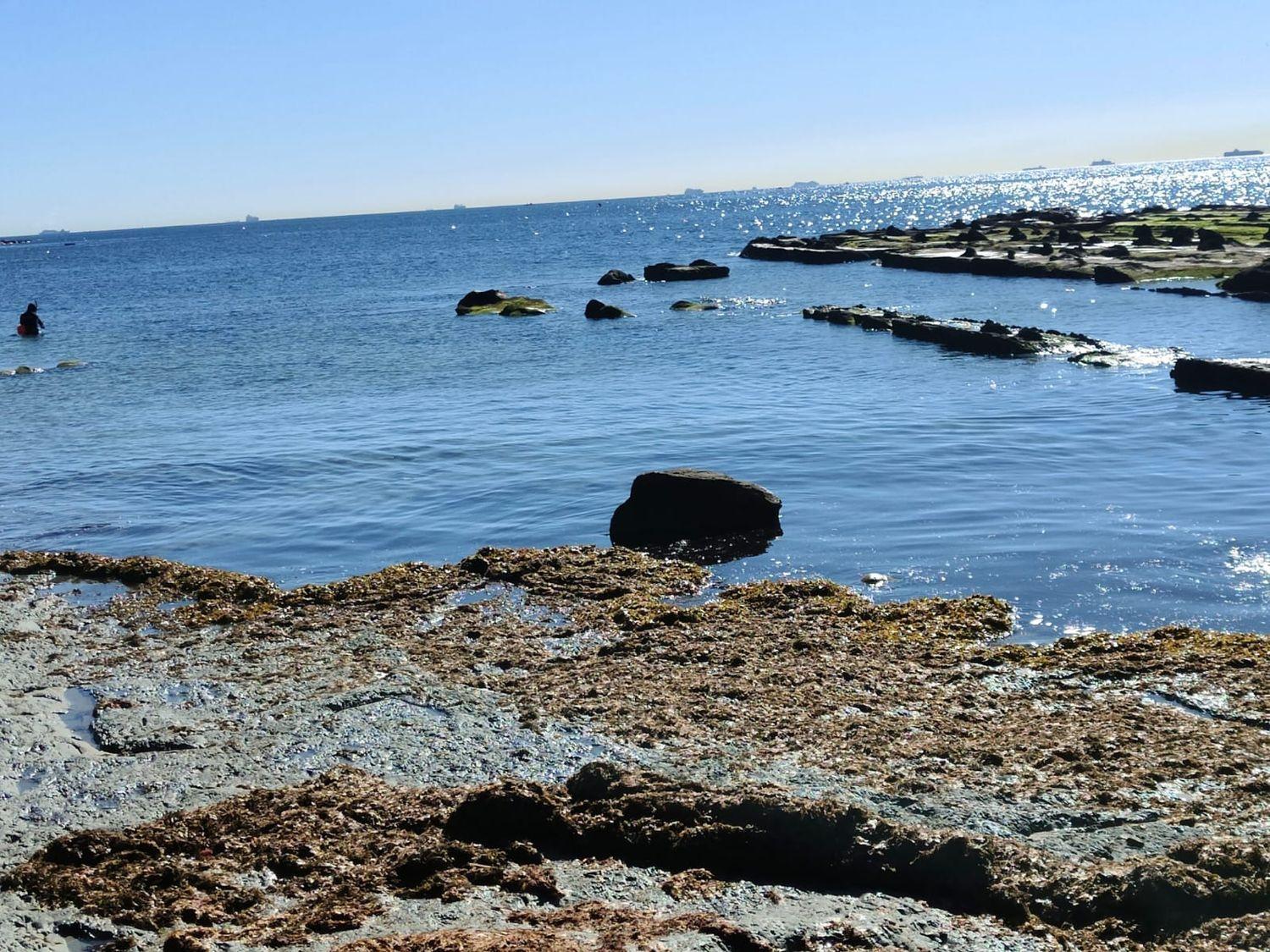 Building Site for Sale in Tarifa