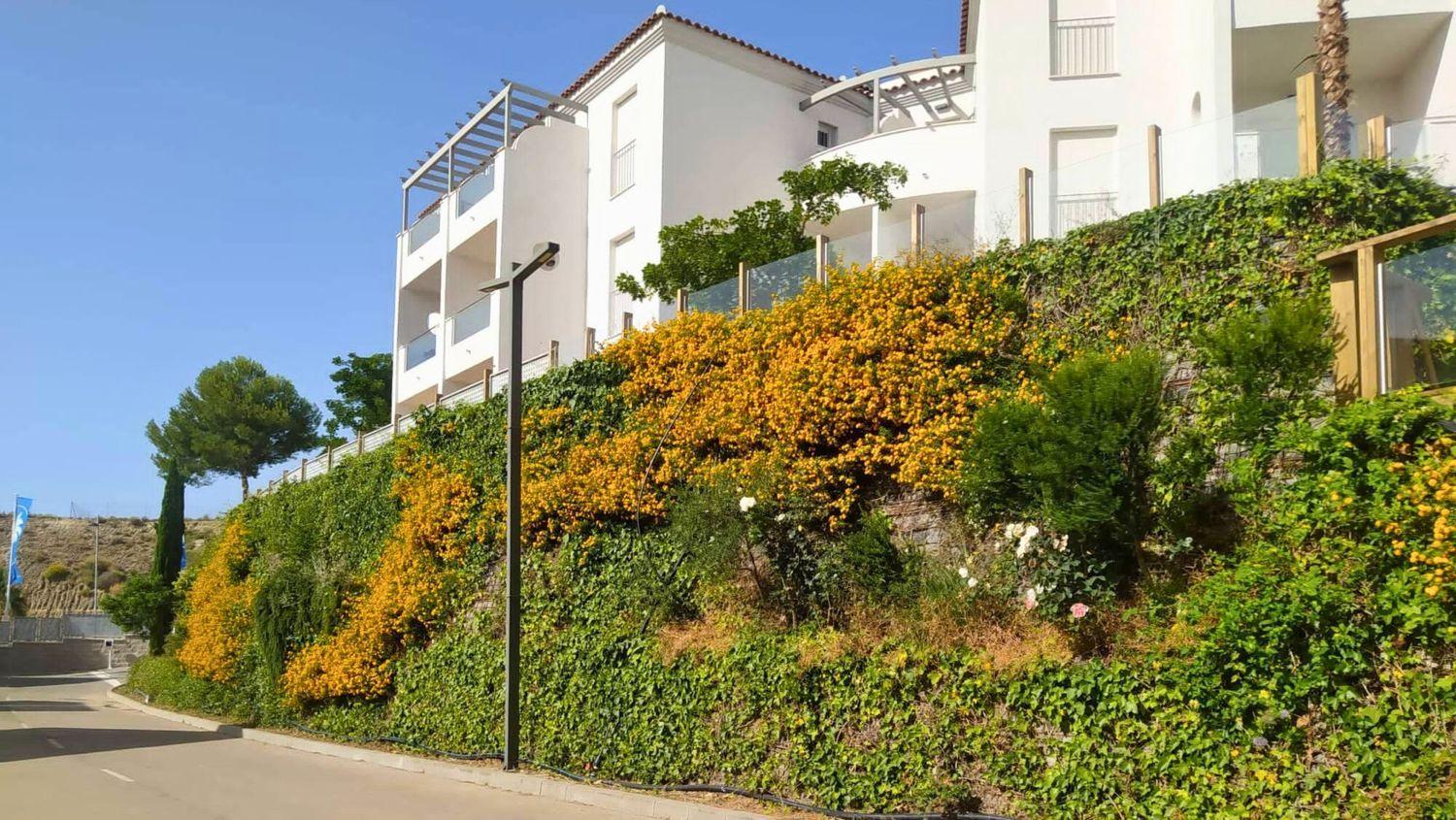 Penthouse for Sale in Manilva
