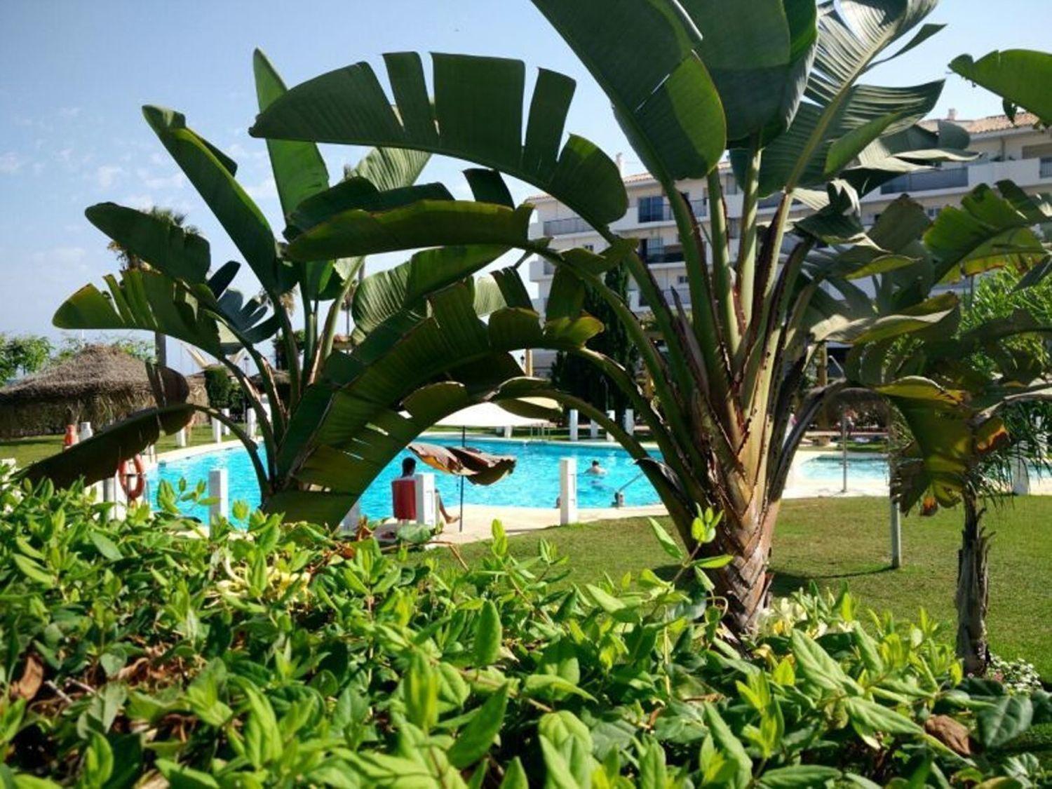 Flat for Sale in Manilva