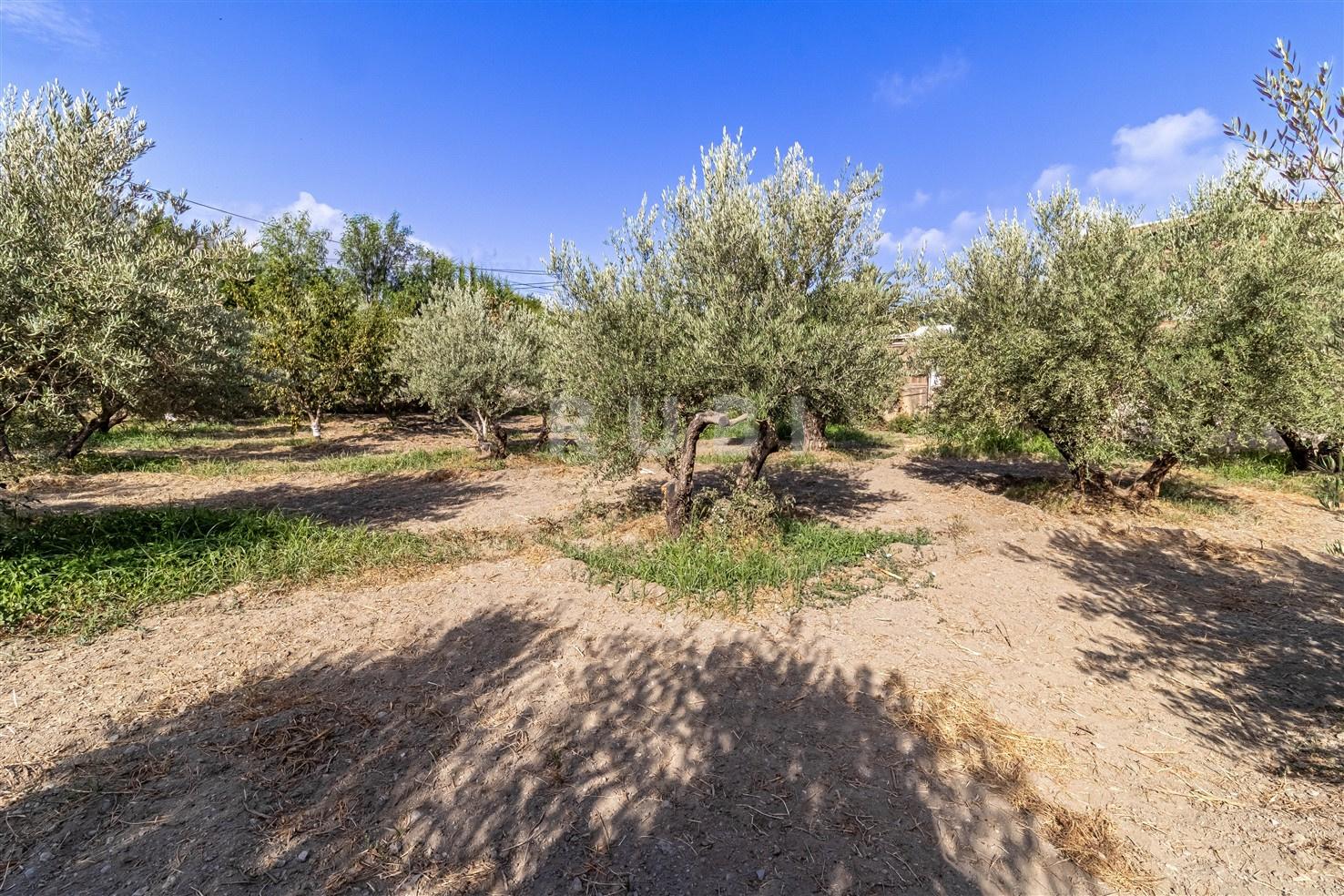 Villa for Sale in Órgiva