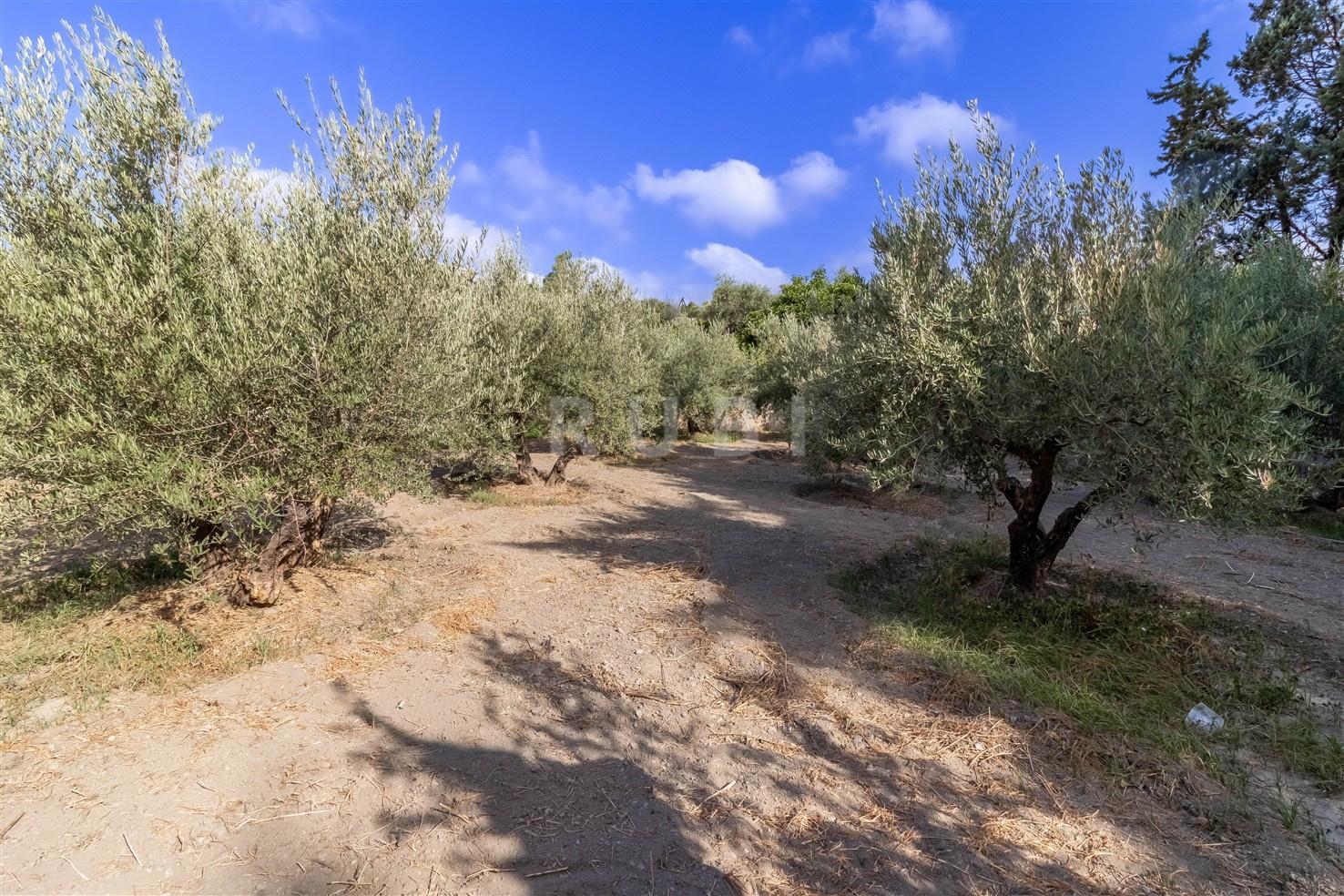 Villa for Sale in Órgiva