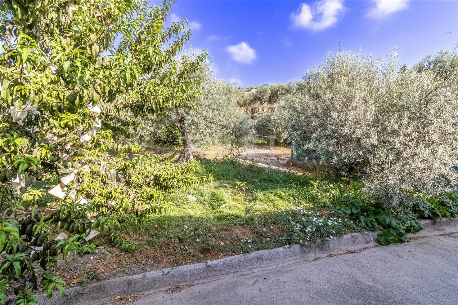 Villa for Sale in Órgiva