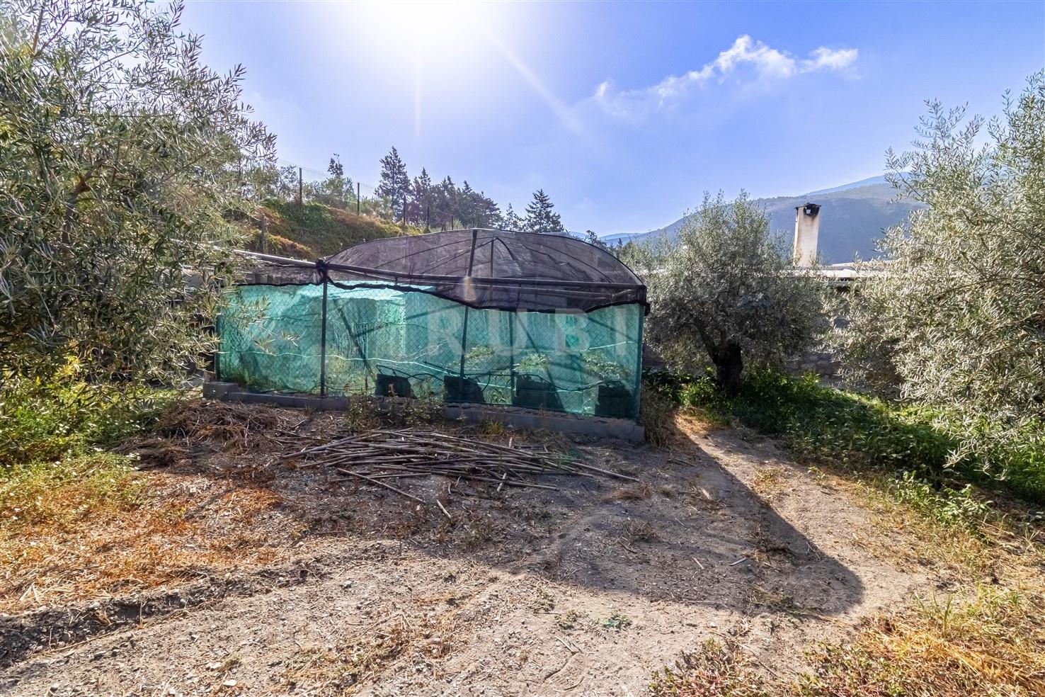 Villa for Sale in Órgiva