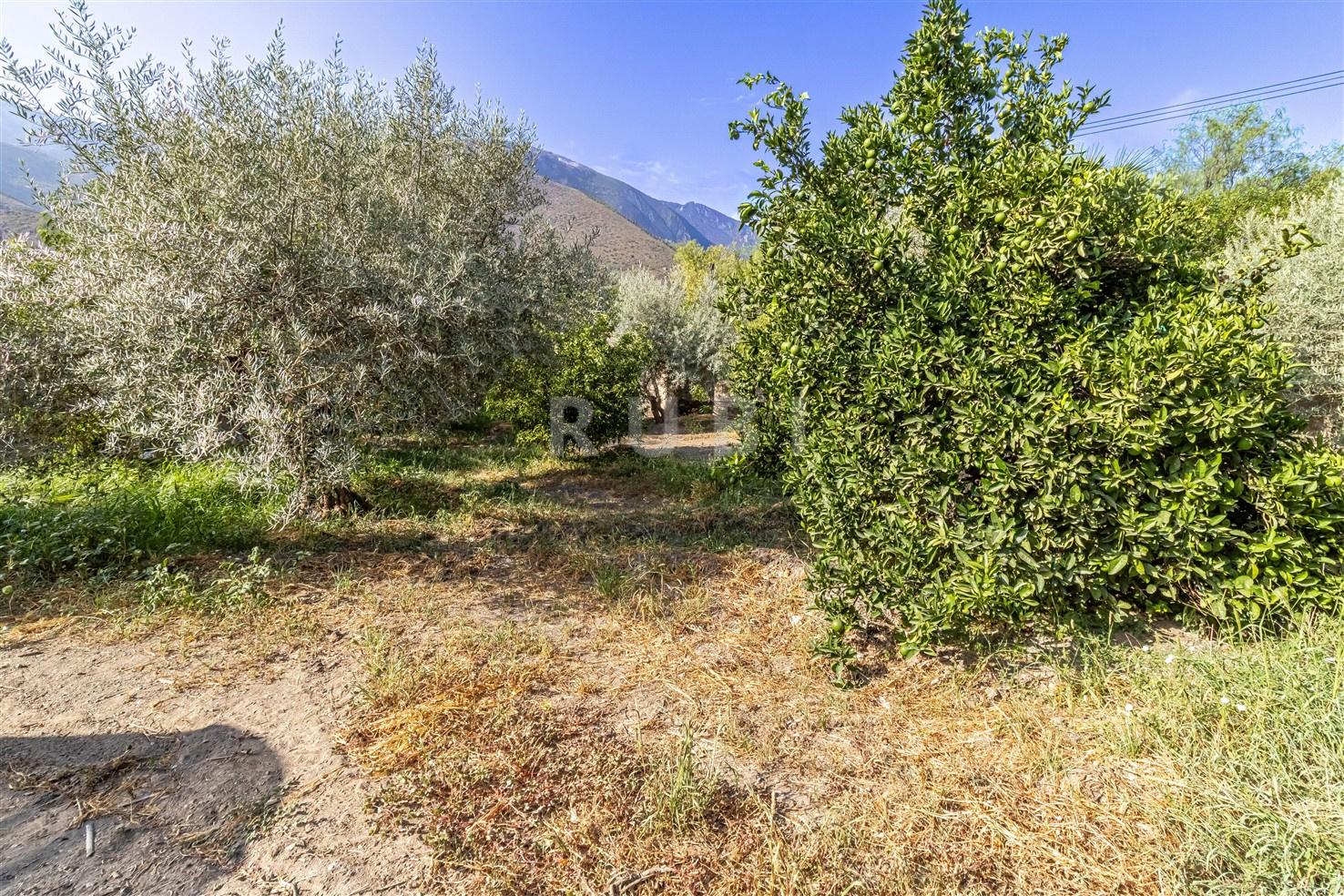 Villa for Sale in Órgiva