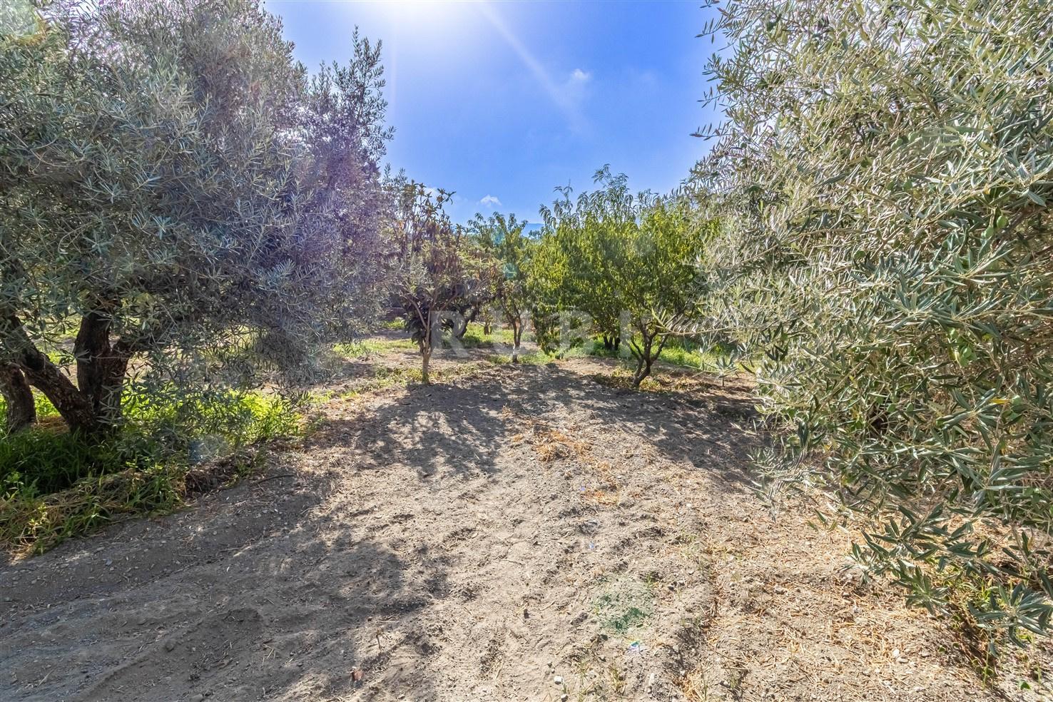 Villa for Sale in Órgiva