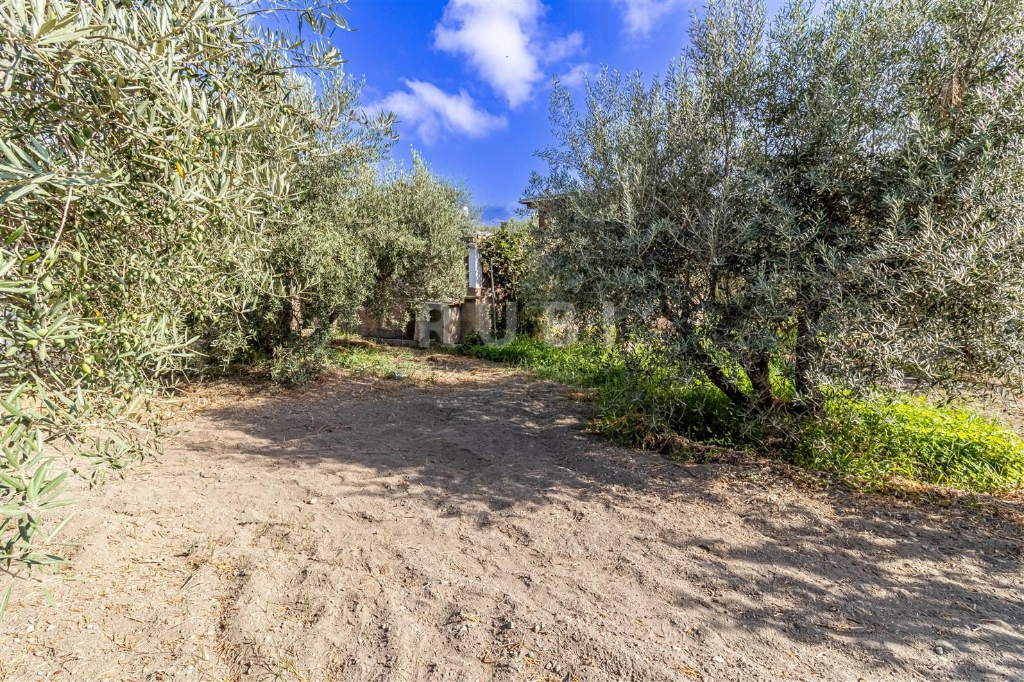 Villa for Sale in Órgiva