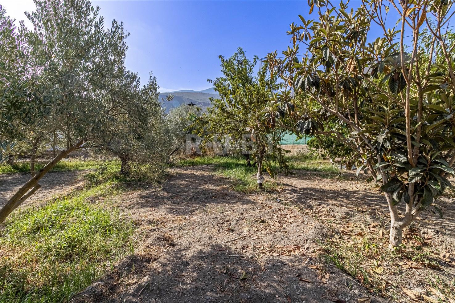 Villa for Sale in Órgiva