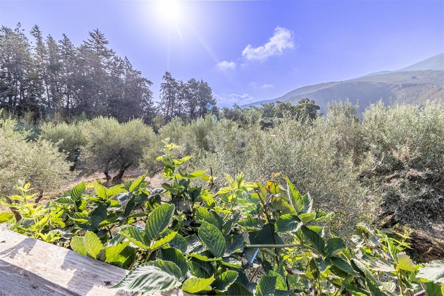 Villa for Sale in Órgiva