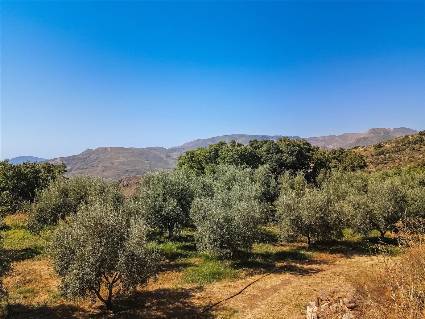 Villa for Sale in Lanjarón