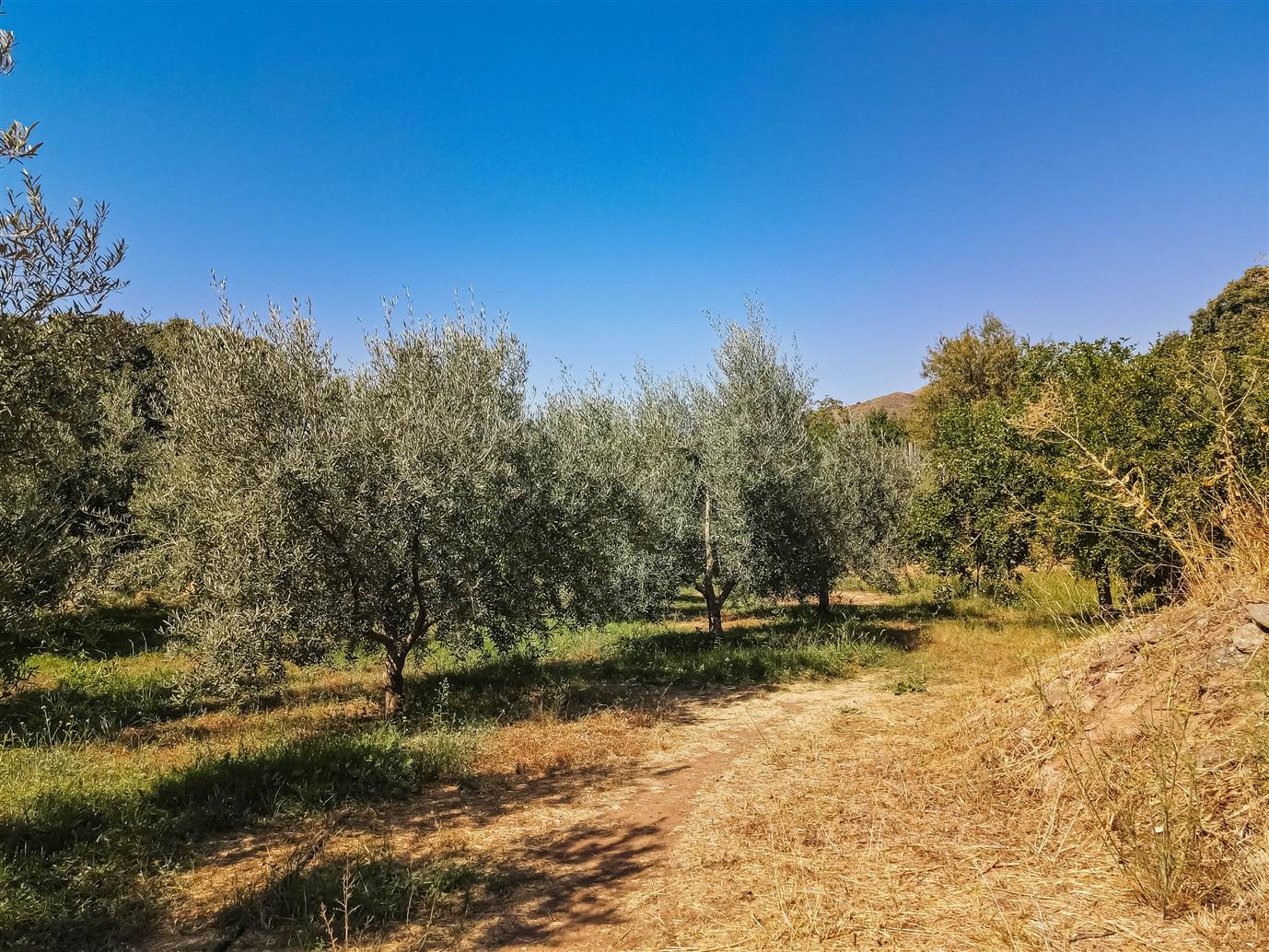 Villa for Sale in Lanjarón