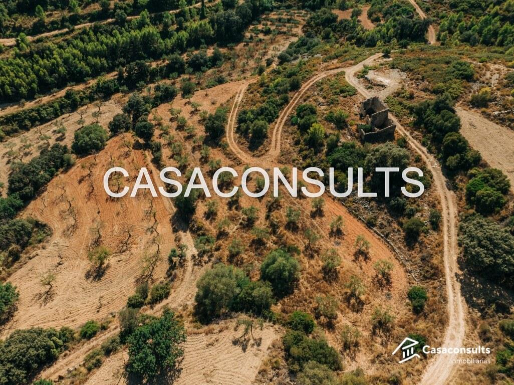 Building Site for Sale in Useras