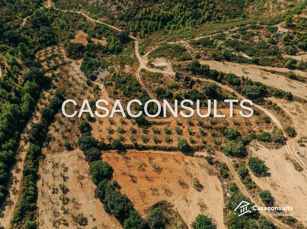 Building Site for Sale in Useras