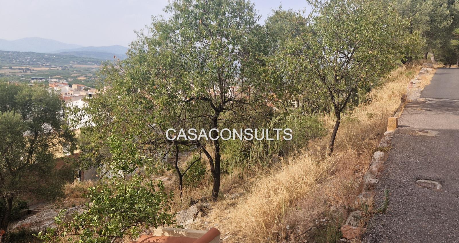 Building Site for Sale in Vilafamés