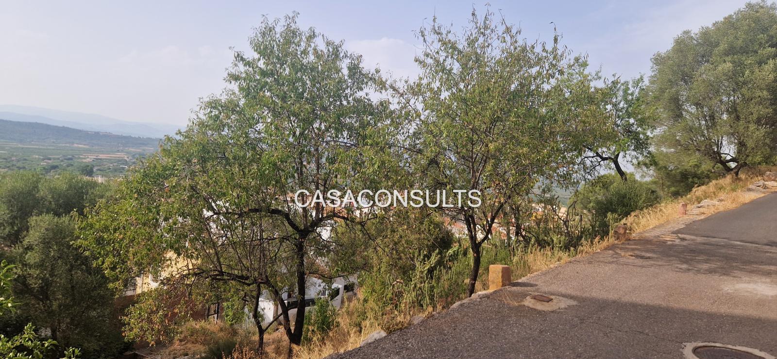 Building Site for Sale in Vilafamés