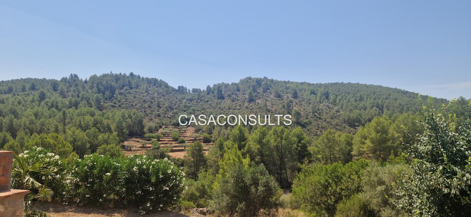 Country Property for Sale in Costur