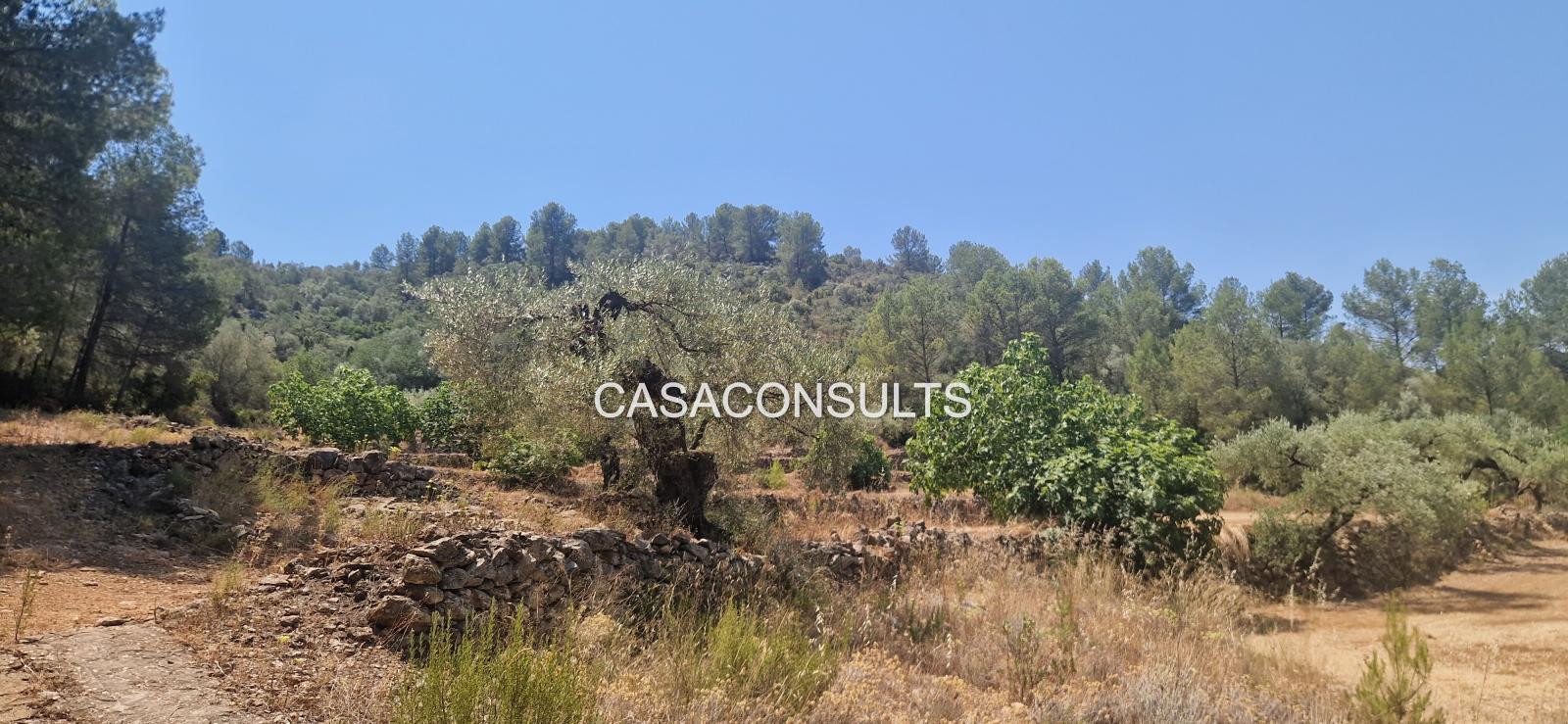 Country Property for Sale in Costur