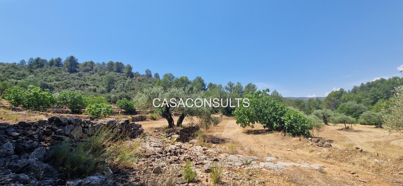 Country Property for Sale in Costur