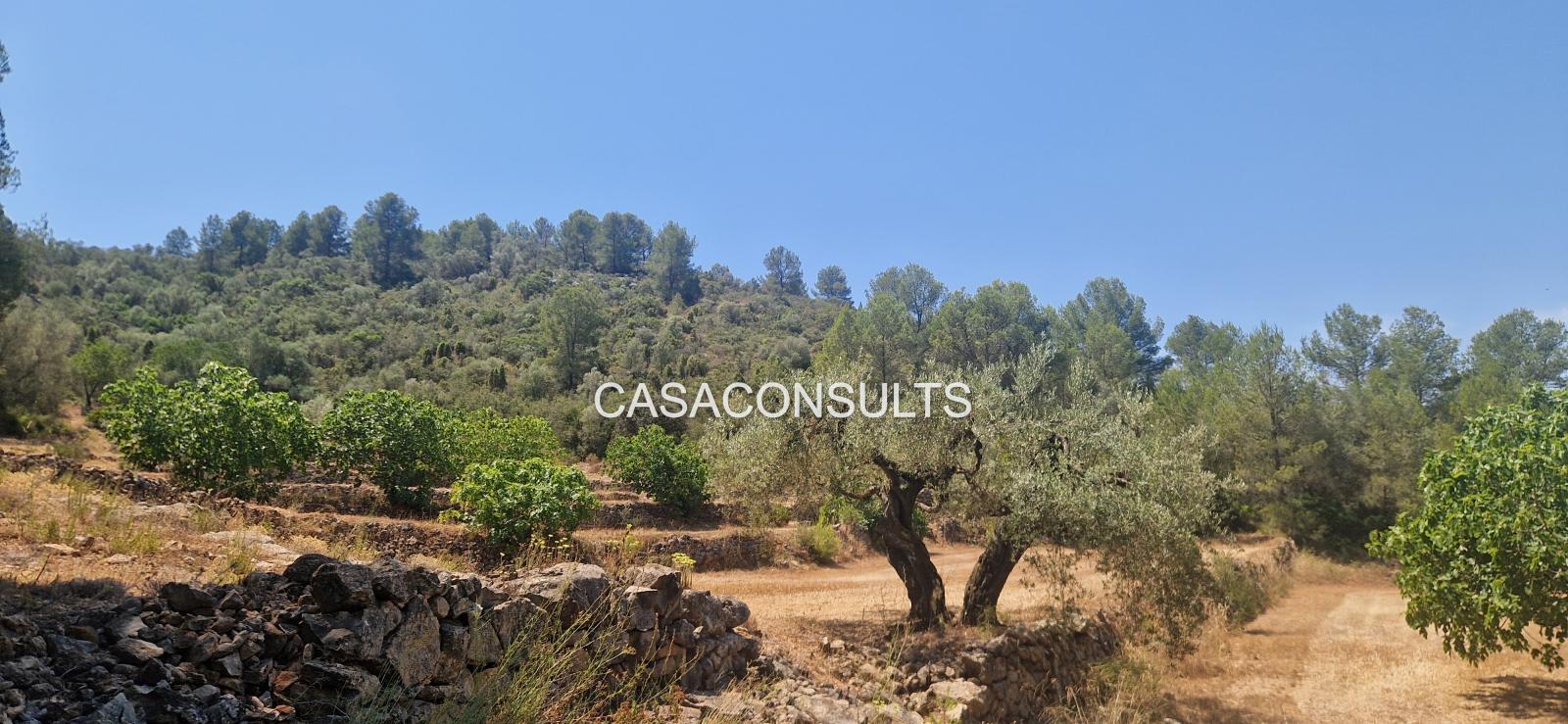 Country Property for Sale in Costur